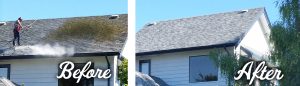 example of power pressure washing a roof in Victoria BC